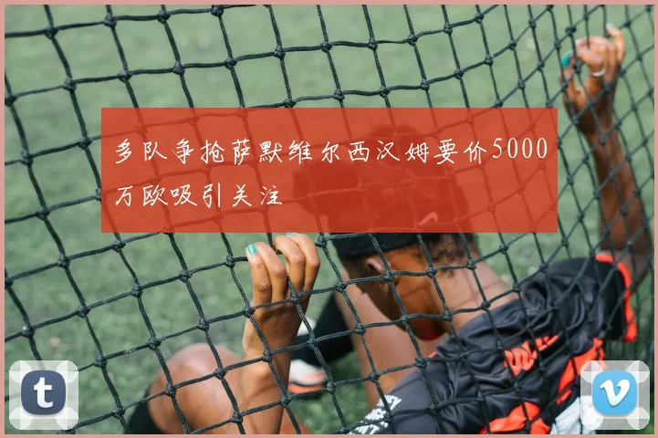 多队争抢萨默维尔西汉姆要价5000万欧吸引关注