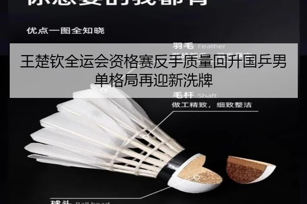 王楚钦全运会资格赛反手质量回升国乒男单格局再迎新洗牌